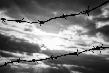 Dikenli tel dramatik, karanlık gökyüzü karşı. Kayıp özgürlük arkasında dikenli tel. Siyah ve beyaz fotoğraf