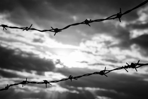 Barbed wire against dramatic, dark sky. Lost freedom behind barbed wire. Black and white photo