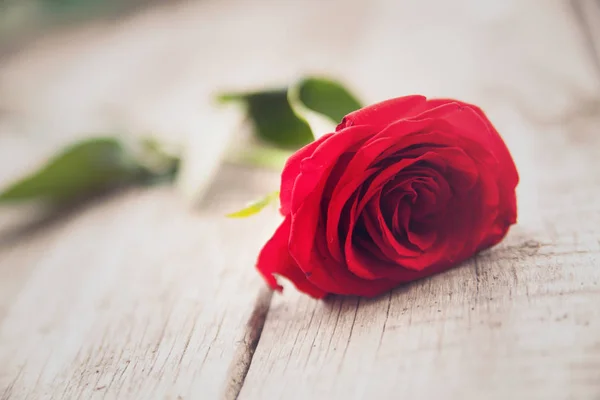 木製の背景に赤いバラ ビンテージ スタイル — ストック写真