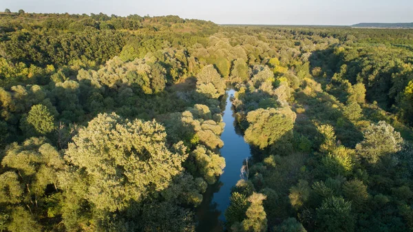 川と美しい森の空中ビュー ブルガリアのカムキア川 — ストック写真