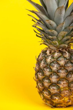Sarı arka planda taze ananas meyvesi