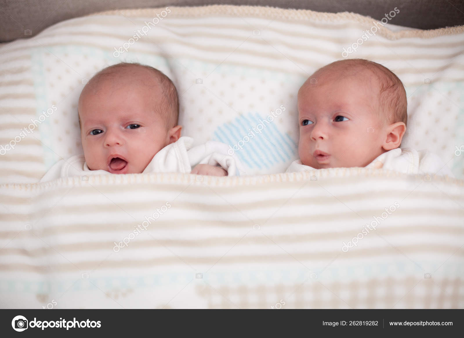 Twin Babies Pictures Images Stock Photos Depositphotos