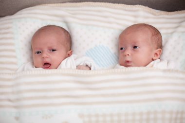 İki sevimli ikiz bebek yatakta yatıyor