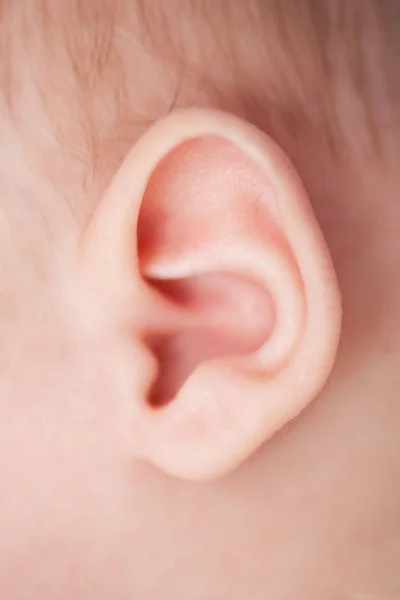 Primer plano de la oreja del bebé . —  Fotos de Stock