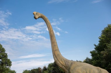 Brachiosaurus realistic model. Head close of dinosaur clipart