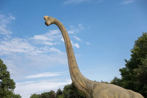 Modelo realista de Brachiosaurus. Cierre de cabeza de dinosaurio — Foto de Stock