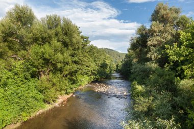 Yaz aylarında orman nehri güzel görünümü