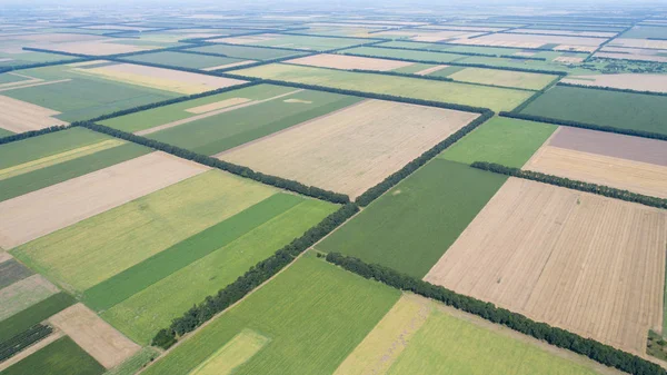 Vista aérea de campos con diversos tipos de agricultura. —  Fotos de Stock