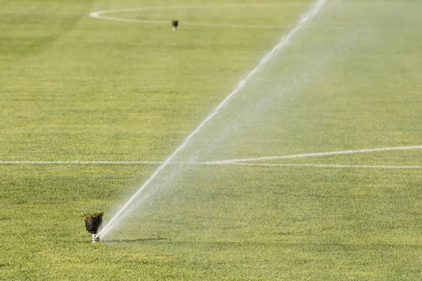 Sistema de aspersão trabalhando na grama verde fresca no estádio de futebol — Fotografia de Stock