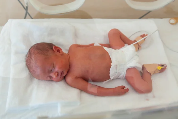 Předčasné novorozeně v nemocničním inkubátoru. Novorozenecká jednotka intenzivní péče — Stock fotografie