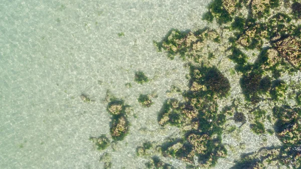 Top down view of a perfectly crystal clear turquoise water and rocks — Stock Photo, Image