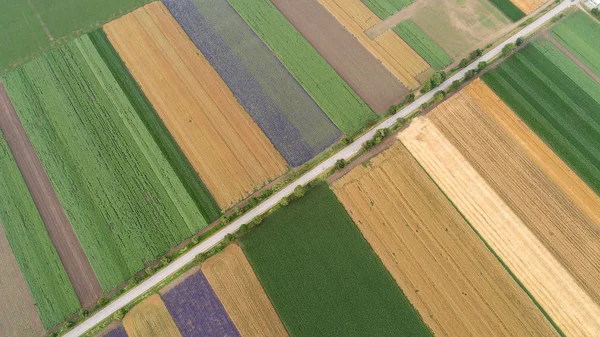 Luftaufnahme von Feldern mit verschiedenen Arten der Landwirtschaft. — Stockfoto