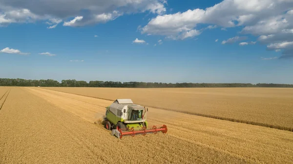 Комбайн повітряного вигляду (гарфістер) збирання на пшеничному полі, хмарне небо — стокове фото