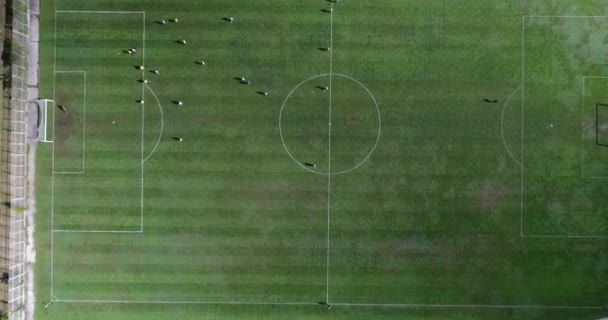 从上往下看足球 足球场 空中足球比赛 两支球队打足球顶视图 孩子们在踢足球 — 图库视频影像