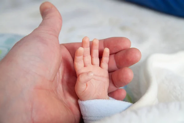 Segurando Uma Mão Recém Nascido — Fotografia de Stock