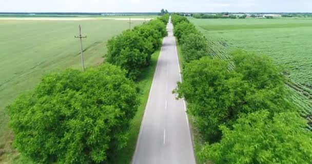 Luftskott Flyger Över Tom Asfalterad Väg Nära Träden — Stockvideo