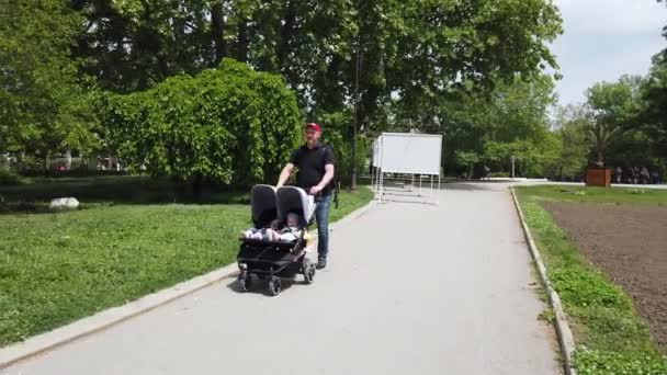 公園のダブルベビーカーの子供たちとお父さん 双子のベビーカーを押している男 プラム — ストック動画