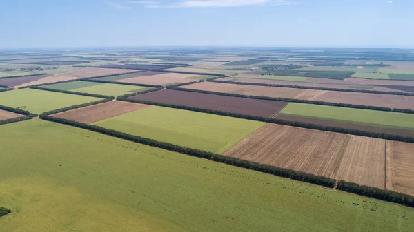 Vista Aérea Campos Con Diversos Tipos Agricultura —  Fotos de Stock