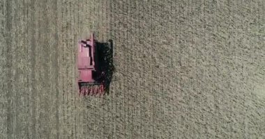 4K yukarıdan aşağıya görüş, Hasatçı 'yı da kapsıyor. Modern Toplama Ayçiçeği