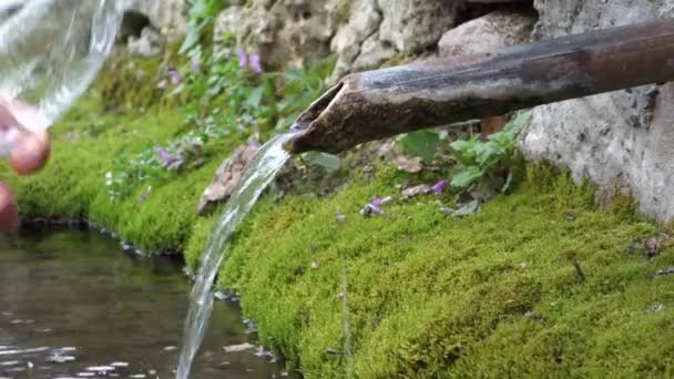 Touristen Füllen Flasche Mit Quellwasser Wald Reines Wasser Bei Einem — Stockvideo