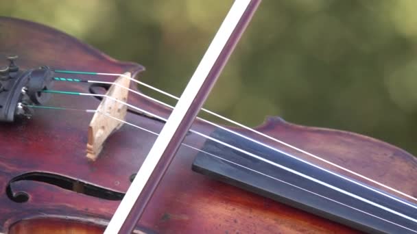 Βιολιστής Που Παίζει Βιολί Κλασική Μουσική Αργή Κίνηση — Αρχείο Βίντεο