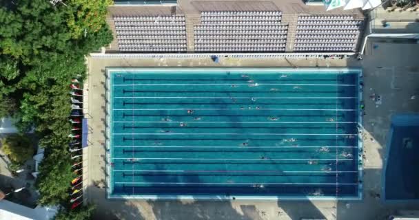 Images Piscine Avec Voies Marquées — Video