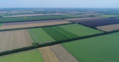 Çeşitli tarım türleriyle tarlaların 4K hava görüntüsü