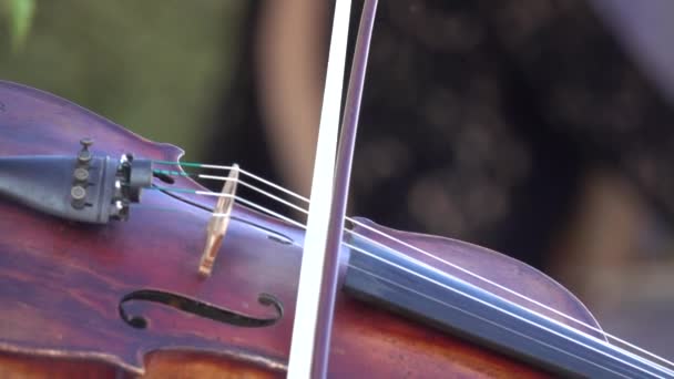 Violiste Speelt Viool Klassieke Muziek Langzame Beweging — Stockvideo