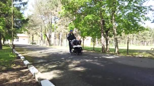 Vater Mit Kindern Kinderwagen Einem Park Mann Schubst Zwillinge Mit — Stockvideo