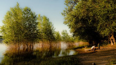 Volgograd 'daki Aşağı Volga havuzunda sakin bir yaz akşamı