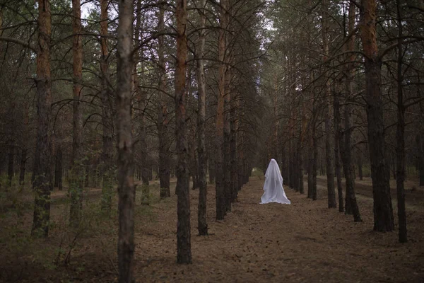 Femme en costume fantôme d'Halloween dans la forêt . — Photo