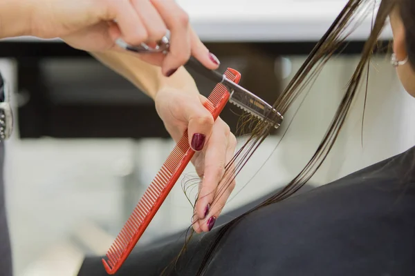 Перукар робить стрижку волосся жінці, брюнетці в салоні краси . — стокове фото