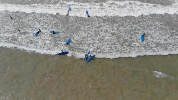 Vista superior de surfistas flutuando em pranchas de surf no oceano . — Vídeo de Stock