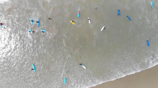 Vista superior de surfistas flotando en tablas de surf en el océano . — Vídeos de Stock