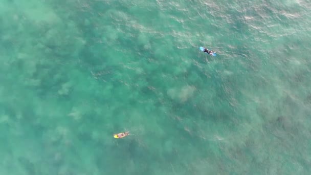 Vue de dessus des surfeurs flottant sur des planches de surf dans l'océan . — Video