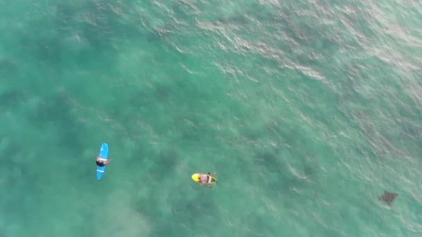 Vista superior de surfistas flotando en tablas de surf en el océano . — Vídeos de Stock