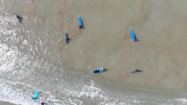 Vista superior de surfistas flotando en tablas de surf en el océano . — Vídeos de Stock