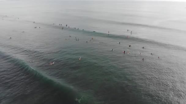 Vista superior de surfistas flotando en tablas de surf en el océano . — Vídeos de Stock