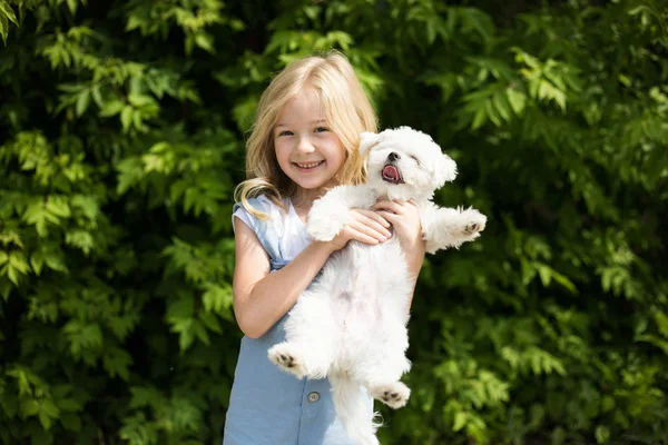 Mała dziewczynka trzyma białego szczeniaka w ramionach. — Zdjęcie stockowe