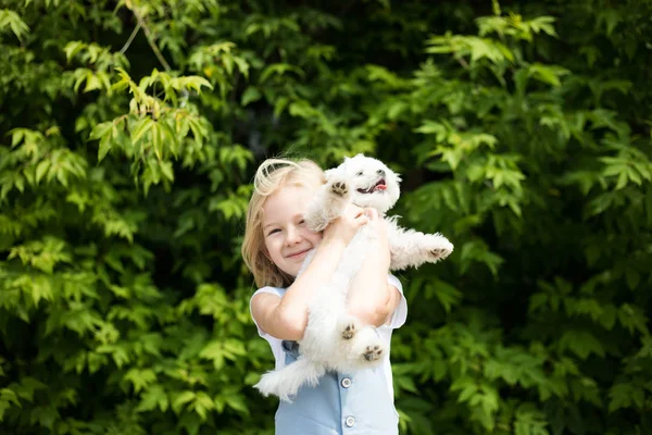 Mała dziewczynka trzyma białego szczeniaka w ramionach. — Zdjęcie stockowe