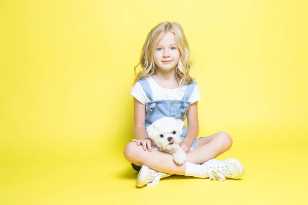 Cute little girl with her puppy on yellow background. — Stock Photo, Image