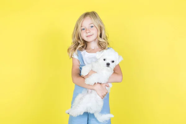Cute little girl with her puppy on yellow background. — Stock Photo, Image