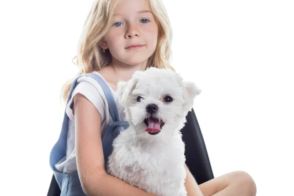 Cute little girl with funny puppy on white background. Stock Picture