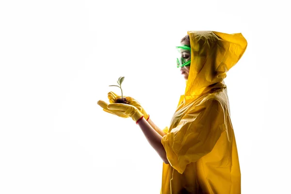 Young plant sprout in the hands of a woman in protective clothing. Woman saves the plant. — Stock Photo, Image
