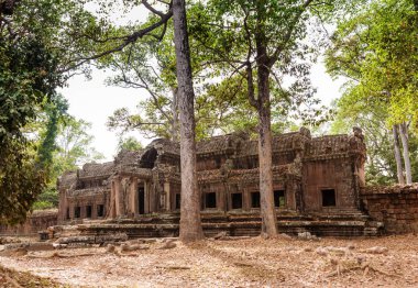 Siem Reap - 04 Ocak 2015: Tarihi kalıntıları ile süslü taş oymalar Ta Prohm Tapınağı Angkor karmaşık üzerinde 04 Ocak 2015 Siem Reap, Kamboçya'da.