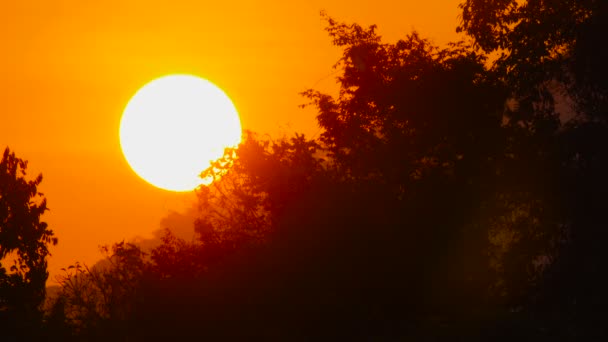 太陽ストック動画 ロイヤリティフリー太陽動画 Depositphotos