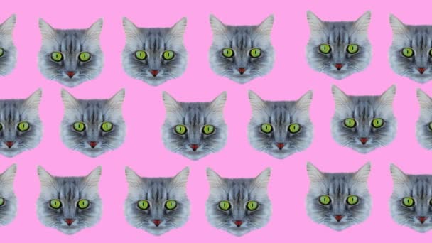 Cat style wiggle moving color background. Abstract graphics in trendy colors and style. Seamless looped motion graphic animation.