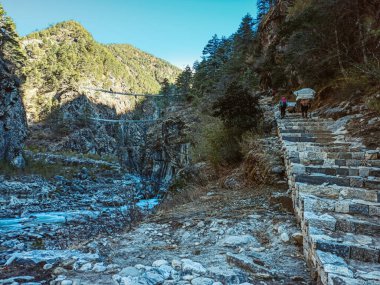 Himalaya, Nepal 'deki Everest Üssü' nde Hillary asma köprüsünü geçmek