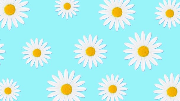 Stockvideo Blume Animation Videoclip Blume Animation Lizenzfreie Hd Videos Depositphotos