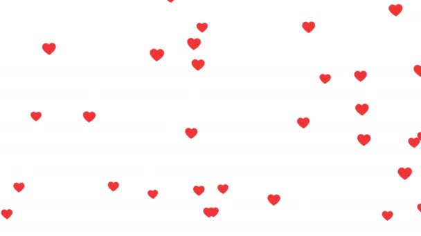 Valentýna rudá srdce letí dolů na bílém pozadí. Minimální animace pohybového designu. Bezproblémová animace smyčky.